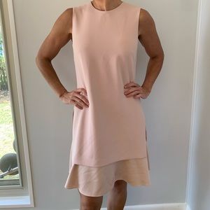 Blush Pink Dress - Theory ✨